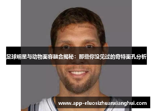 足球明星与动物面容融合揭秘：那些你没见过的奇特面孔分析